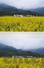 500竞彩足球即时比分-探秘500竞彩足球即时比分，实时追踪，玩转足球竞猜新体验